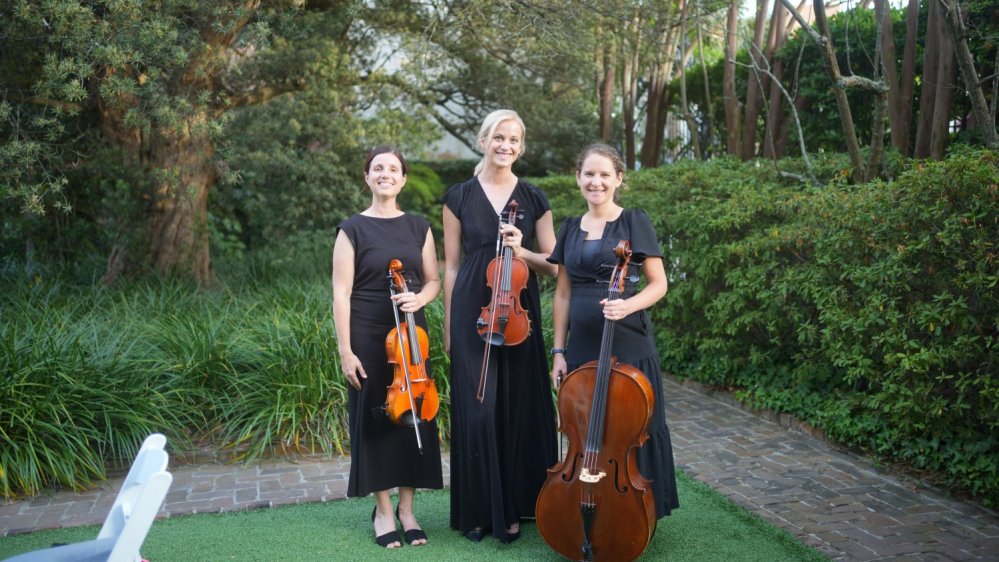 Trio Performance